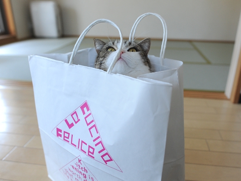 maru มารุ maru มารุ