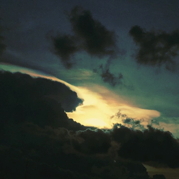 ดาว พิมพ์ทอง สุดจะกลั้น โพสต์ข้อความตาสว่าง ฉันไม่ใช่ควาย ดาว พิมพ์ทอง สุดจะกลั้น โพสต์ข้อความตาสว่าง ฉันไม่ใช่ควาย