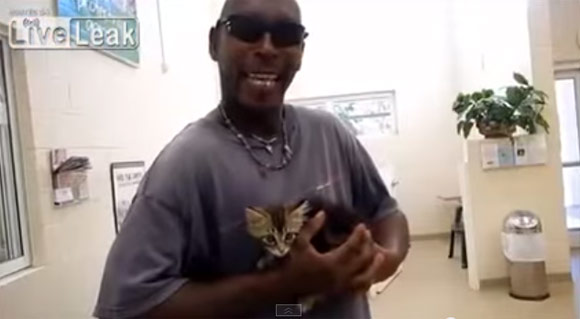 ชายฟลอริดาลงทุนตัดรถ ช่วยเหมียวน้อยที่ติดอยู่ข้างใน ชายฟลอริดาลงทุนตัดรถ ช่วยเหมียวน้อยที่ติดอยู่ข้างใน