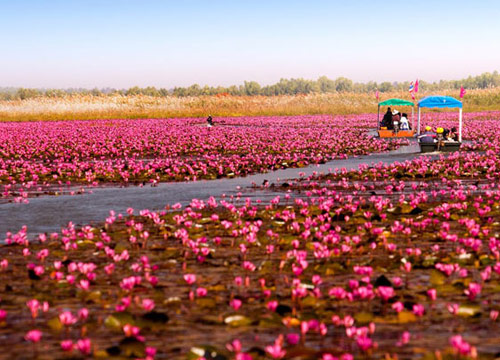 สื่อนอกยก ทะเลสาบหนองหาน ติดอันดับทะเลสาบแปลกที่สุดในโลก สื่อนอกยก ทะเลสาบหนองหาน ติดอันดับทะเลสาบแปลกที่สุดในโลก