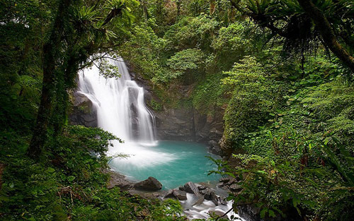 6 สุดยอดสถานที่ท่องเที่ยวแห่งมหานครไทเป (มัชรูมทราเวล) 6 สุดยอดสถานที่ท่องเที่ยวแห่งมหานครไทเป (มัชรูมทราเวล)