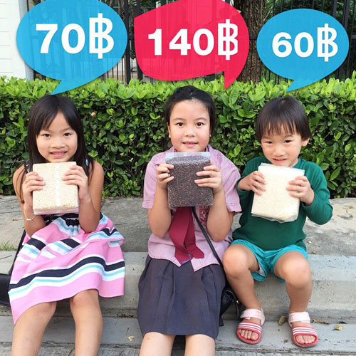 ตุ๊ก ชนกวนันท์ สาวแกร่ง ทำนาปลูกข้าวเลี้ยงครอบครัว ตุ๊ก ชนกวนันท์ สาวแกร่ง ทำนาปลูกข้าวเลี้ยงครอบครัว