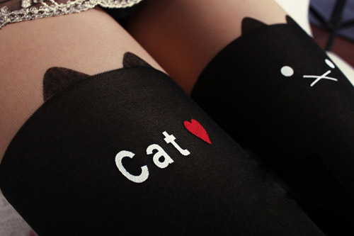 ถุงน่องน้องแมว