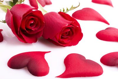 ดอกกุหลาบ