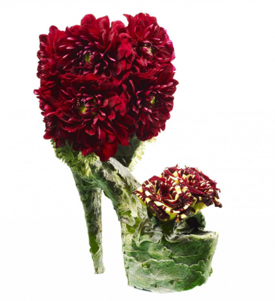 รองเท้าแปลก รองเท้าแปลก