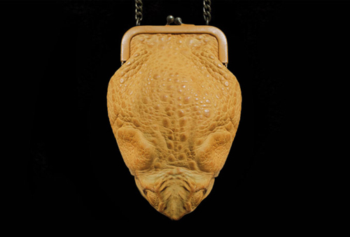 กระเป๋าหนังคางคกยักษ์ กระเป๋าหนังคางคกยักษ์