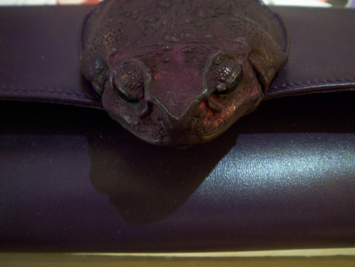 กระเป๋าหนังคางคกยักษ์ กระเป๋าหนังคางคกยักษ์