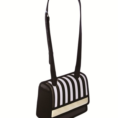 กระเป๋าสองมิติ กระเป๋าสองมิติ