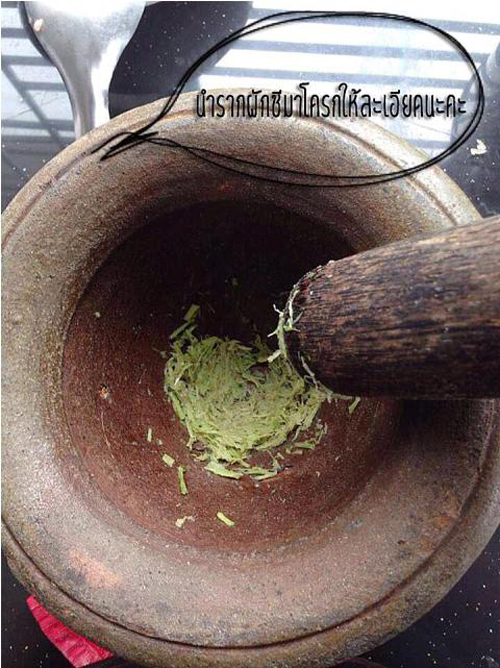 ขนมจีบ วิธีทำขนมจีบ สูตรมือใหม่ง่าย ๆ ใคร ๆ ก็ทำได้ ขนมจีบ วิธีทำขนมจีบ สูตรมือใหม่ง่าย ๆ ใคร ๆ ก็ทำได้