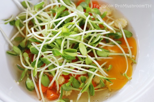 ไข่เจียวต้นอ่อนทานตะวัน เมนูไข่ได้สุขภาพเห็น ๆ ไข่เจียวต้นอ่อนทานตะวัน เมนูไข่ได้สุขภาพเห็น ๆ