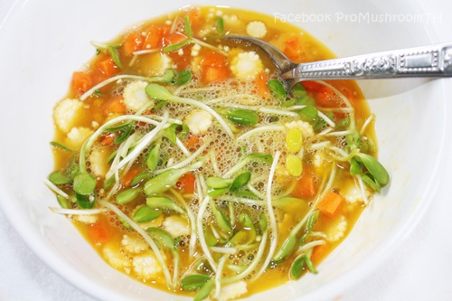 ไข่เจียวต้นอ่อนทานตะวัน เมนูไข่ได้สุขภาพเห็น ๆ ไข่เจียวต้นอ่อนทานตะวัน เมนูไข่ได้สุขภาพเห็น ๆ