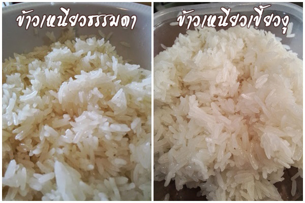 วิธีหุงข้าวเหนียวด้วยไมโครเวฟ วิธีหุงข้าวเหนียวด้วยไมโครเวฟ