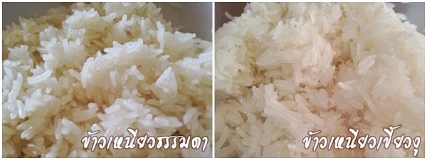 วิธีหุงข้าวเหนียวด้วยไมโครเวฟ วิธีหุงข้าวเหนียวด้วยไมโครเวฟ