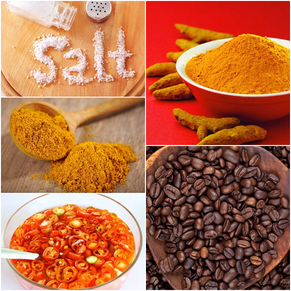 มาดูกัน ! 19 เครื่องปรุงรสจากธรรมชาติที่แคลอรีนิดเดียว มาดูกัน ! 19 เครื่องปรุงรสจากธรรมชาติที่แคลอรีนิดเดียว