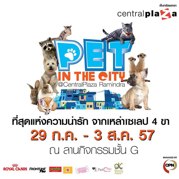 Pet in the City เซ็นทรัลรามอินทรา 29 ก.ค. - 3 ส.ค. 57 Pet in the City เซ็นทรัลรามอินทรา 29 ก.ค. - 3 ส.ค. 57