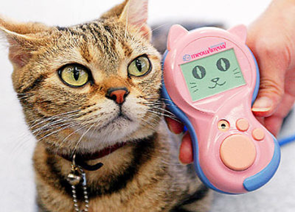 Meowlingual เครื่องแปลภาษาแมว เหมียวคิดอะไรก็รู้หมด Meowlingual เครื่องแปลภาษาแมว เหมียวคิดอะไรก็รู้หมด