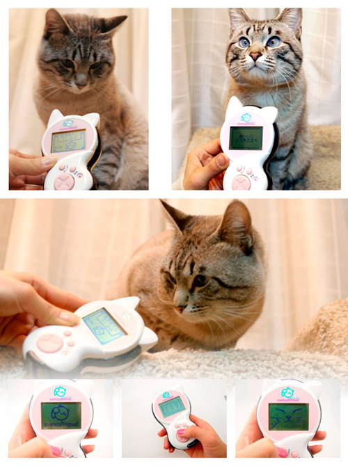 Meowlingual เครื่องแปลภาษาแมว เหมียวคิดอะไรก็รู้หมด Meowlingual เครื่องแปลภาษาแมว เหมียวคิดอะไรก็รู้หมด