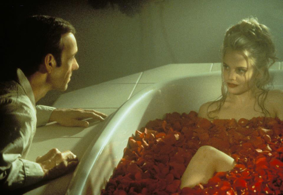 american beauty american beauty