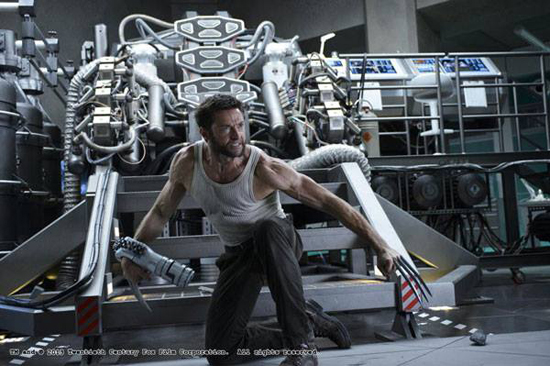 the wolverine the wolverine