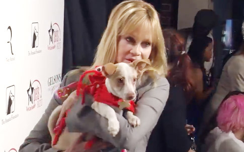 เมลานี กริฟฟิธ - คาลีย์ คัวโค ระดมทุนช่วยเหลือน้องหมา เมลานี กริฟฟิธ - คาลีย์ คัวโค ระดมทุนช่วยเหลือน้องหมา