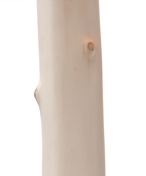 โคมไฟเปลือกไม้ โคมไฟเปลือกไม้