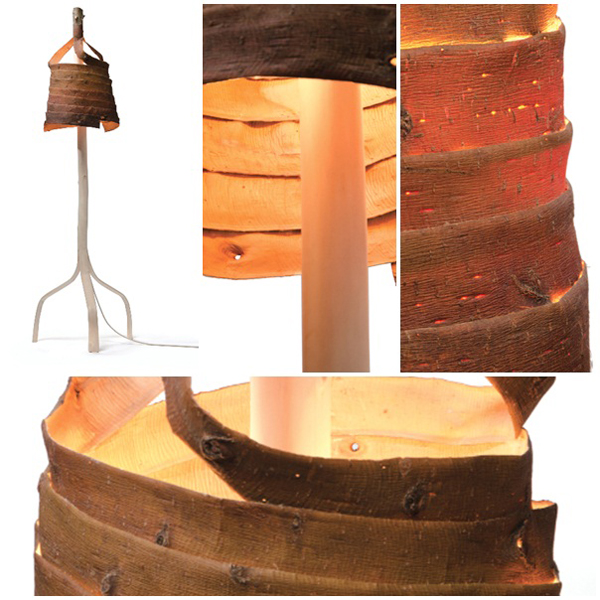 โคมไฟเปลือกไม้ โคมไฟเปลือกไม้