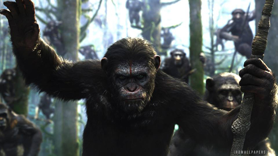 แม็ตต์ รีฟส์ เซ็นสัญญา เตรียมกำกับภาคต่อ Dawn of the Planet of the Apes แม็ตต์ รีฟส์ เซ็นสัญญา เตรียมกำกับภาคต่อ Dawn of the Planet of the Apes