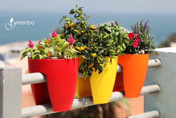 กระถางต้นไม้บนราวระเบียง อยู่คอนโดก็ปลูกได้ กระถางต้นไม้บนราวระเบียง อยู่คอนโดก็ปลูกได้