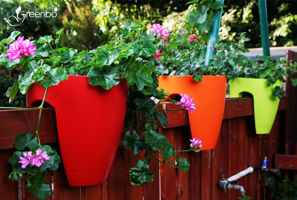 กระถางต้นไม้บนราวระเบียง อยู่คอนโดก็ปลูกได้ กระถางต้นไม้บนราวระเบียง อยู่คอนโดก็ปลูกได้