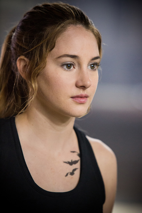 Divergent สงคราม 5 มนุษย์กลุ่มสุดท้ายแห่งอนาคต Divergent สงคราม 5 มนุษย์กลุ่มสุดท้ายแห่งอนาคต