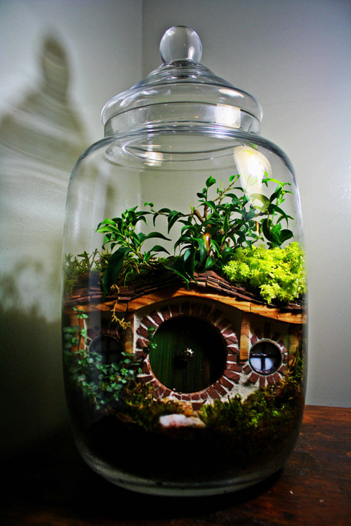 สวนขวดแก้ว Terrarium โลกสีเขียวใบเล็กที่ถูกย่อส่วน สวนขวดแก้ว Terrarium โลกสีเขียวใบเล็กที่ถูกย่อส่วน