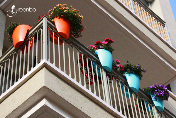 กระถางต้นไม้บนราวระเบียง อยู่คอนโดก็ปลูกได้ กระถางต้นไม้บนราวระเบียง อยู่คอนโดก็ปลูกได้