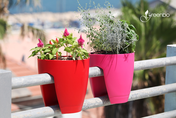 กระถางต้นไม้บนราวระเบียง อยู่คอนโดก็ปลูกได้ กระถางต้นไม้บนราวระเบียง อยู่คอนโดก็ปลูกได้