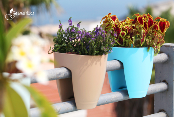 กระถางต้นไม้บนราวระเบียง อยู่คอนโดก็ปลูกได้ กระถางต้นไม้บนราวระเบียง อยู่คอนโดก็ปลูกได้