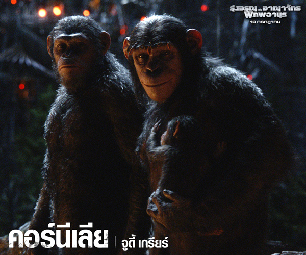 เกร็ดน่ารู้ คาแรคเตอร์จาก Dawn of the Planet of the Apes เกร็ดน่ารู้ คาแรคเตอร์จาก Dawn of the Planet of the Apes