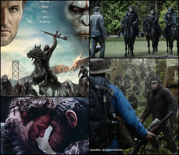 12 หนังเด่นประจำซัมเมอร์ 2014 ครบรส จัดเต็ม ! 12 หนังเด่นประจำซัมเมอร์ 2014 ครบรส จัดเต็ม !