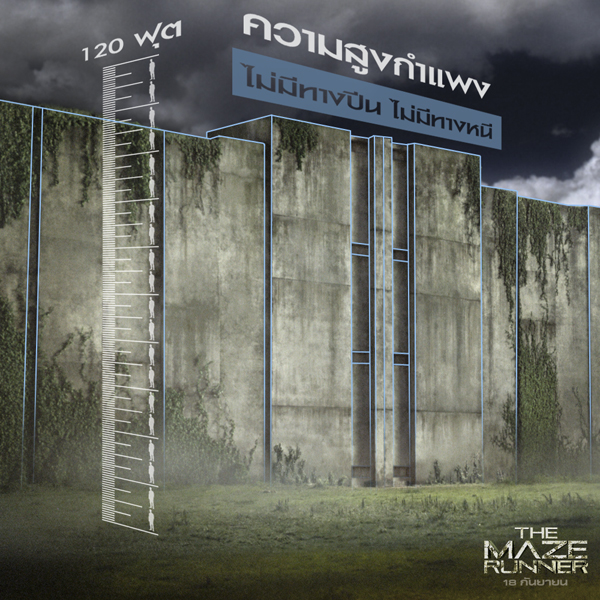 เจาะลึกเบื้องหลังกำแพงสูงเขาวงกต ใน The Maze Runner เจาะลึกเบื้องหลังกำแพงสูงเขาวงกต ใน The Maze Runner