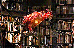 จัดหนัก ! รวมเด็ดเกร็ด Harry Potter ฉบับภาพยนตร์ จัดหนัก ! รวมเด็ดเกร็ด Harry Potter ฉบับภาพยนตร์