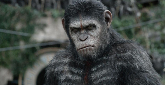 มาดูกัน ตัวอย่างล่าสุดของ Dawn of the Planet of the Apes มาดูกัน ตัวอย่างล่าสุดของ Dawn of the Planet of the Apes