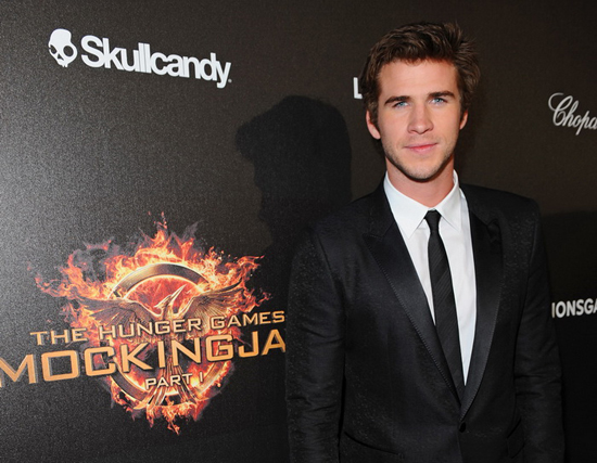 the hunger games mockingjay the hunger games mockingjay