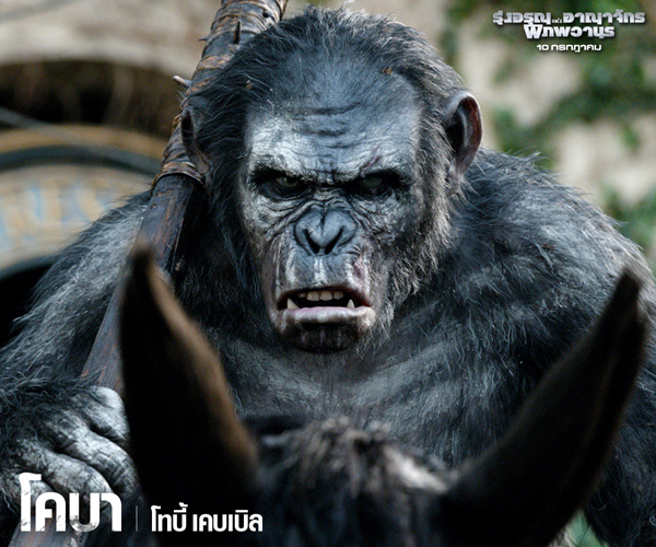 เกร็ดน่ารู้ คาแรคเตอร์จาก Dawn of the Planet of the Apes เกร็ดน่ารู้ คาแรคเตอร์จาก Dawn of the Planet of the Apes