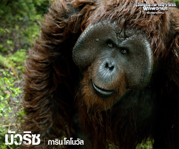 เกร็ดน่ารู้ คาแรคเตอร์จาก Dawn of the Planet of the Apes เกร็ดน่ารู้ คาแรคเตอร์จาก Dawn of the Planet of the Apes
