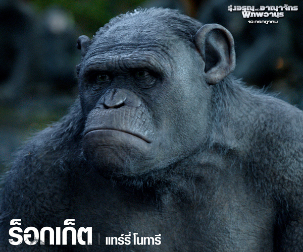 เกร็ดน่ารู้ คาแรคเตอร์จาก Dawn of the Planet of the Apes เกร็ดน่ารู้ คาแรคเตอร์จาก Dawn of the Planet of the Apes
