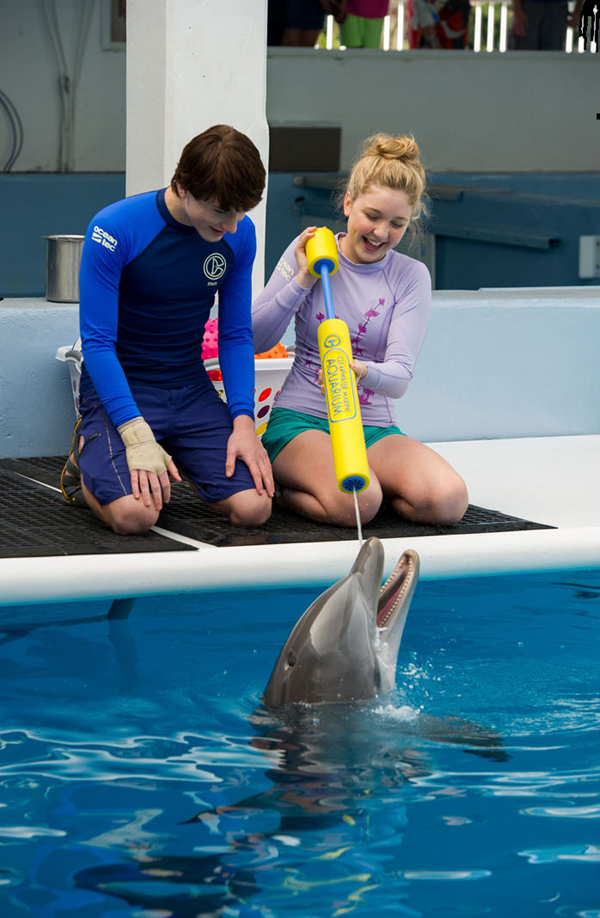 ยลโฉมโปสเตอร์พร้อมตัวอย่าง Dolphin Tale 2 หนังโลมาสร้างแรงบันดาลใจ ยลโฉมโปสเตอร์พร้อมตัวอย่าง Dolphin Tale 2 หนังโลมาสร้างแรงบันดาลใจ