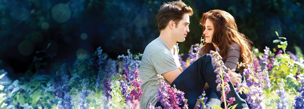 Twilight Twilight