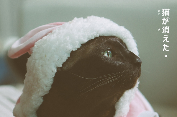 จอนนี่ เหมียวเซเลบ ประกบใบ เฟิร์น-เป้ อารักษ์ ใน Cat อ่ะ แว๊บ !