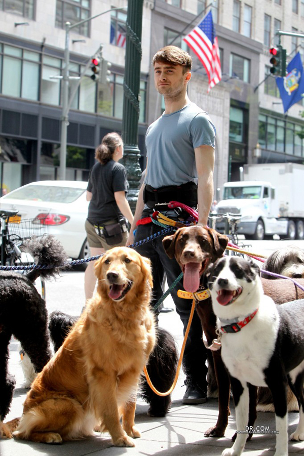 20 อันดับหนังที่น่าจับตามองในปี 2015