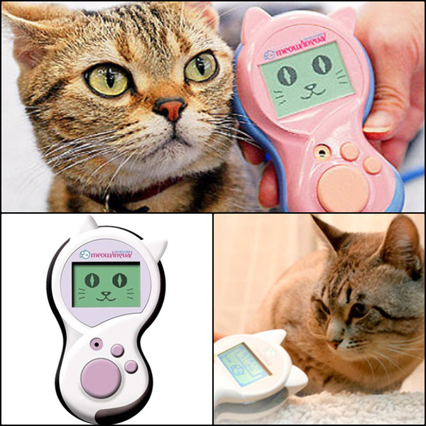 Meowlingual เครื่องแปลภาษาแมว เหมียวคิดอะไรก็รู้หมด Meowlingual เครื่องแปลภาษาแมว เหมียวคิดอะไรก็รู้หมด