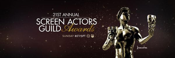 SAG Awards 2015 SAG Awards 2015