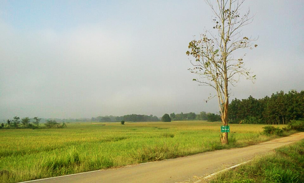 แพร่ แพร่